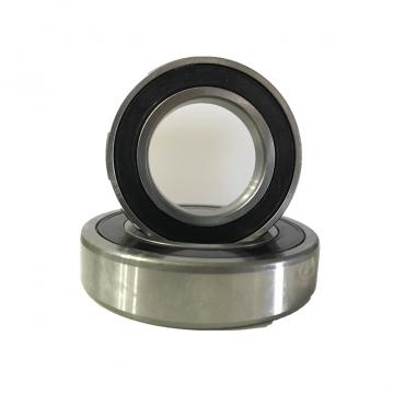 RIT  6006-2RS1 Bearings