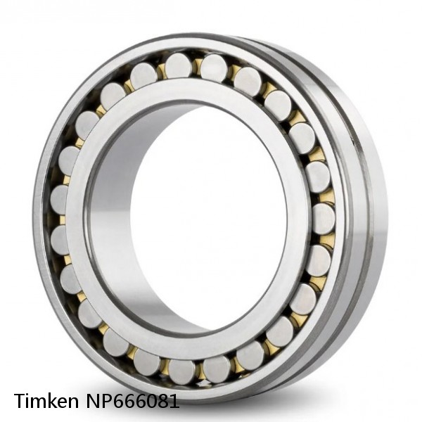 NP666081 Timken Cylindrical Roller Radial Bearing