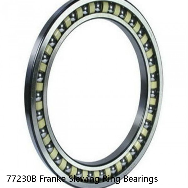 77230B Franke Slewing Ring Bearings