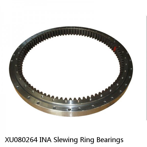 XU080264 INA Slewing Ring Bearings