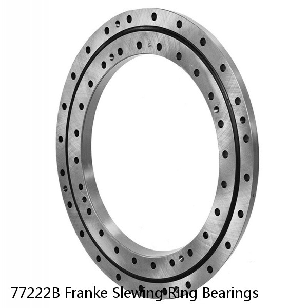 77222B Franke Slewing Ring Bearings