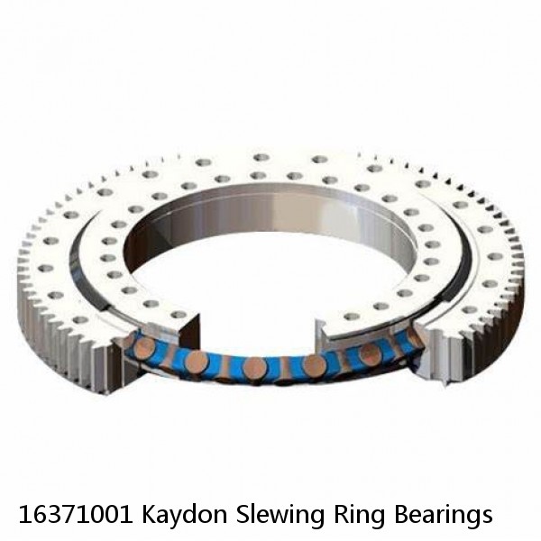 16371001 Kaydon Slewing Ring Bearings