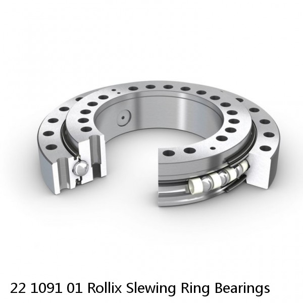 22 1091 01 Rollix Slewing Ring Bearings