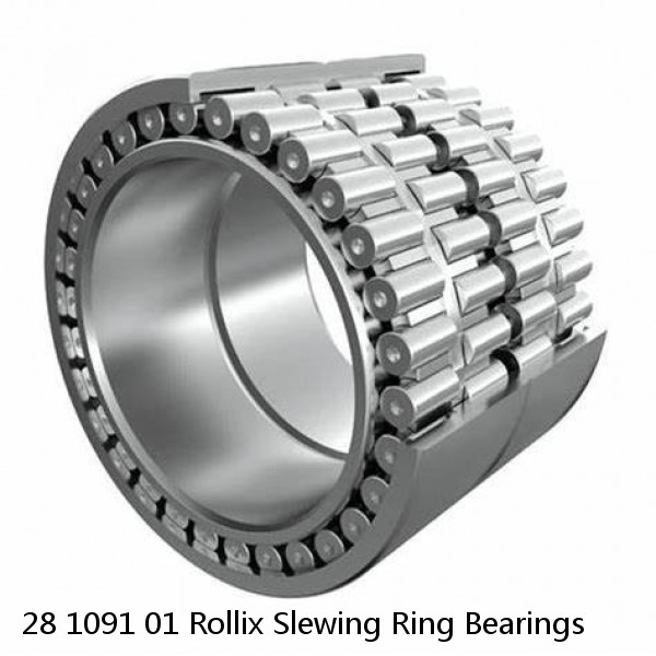 28 1091 01 Rollix Slewing Ring Bearings