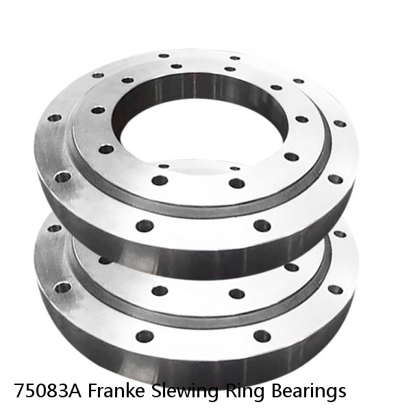 75083A Franke Slewing Ring Bearings