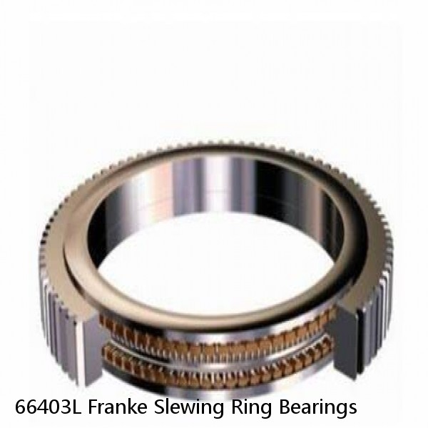 66403L Franke Slewing Ring Bearings