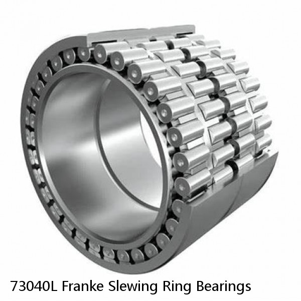 73040L Franke Slewing Ring Bearings