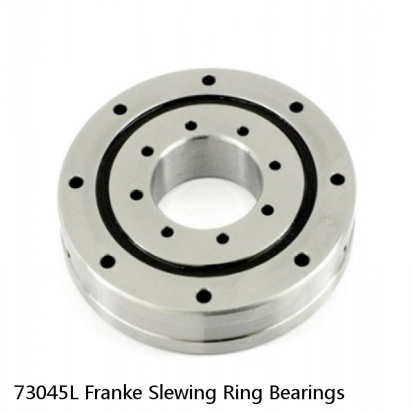 73045L Franke Slewing Ring Bearings