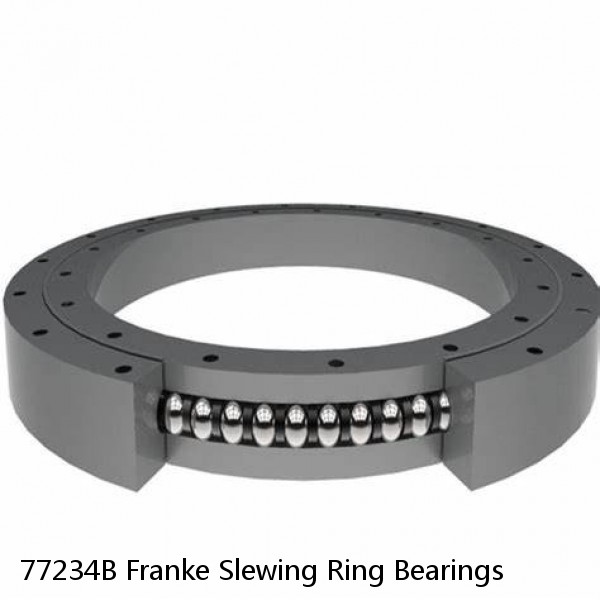 77234B Franke Slewing Ring Bearings