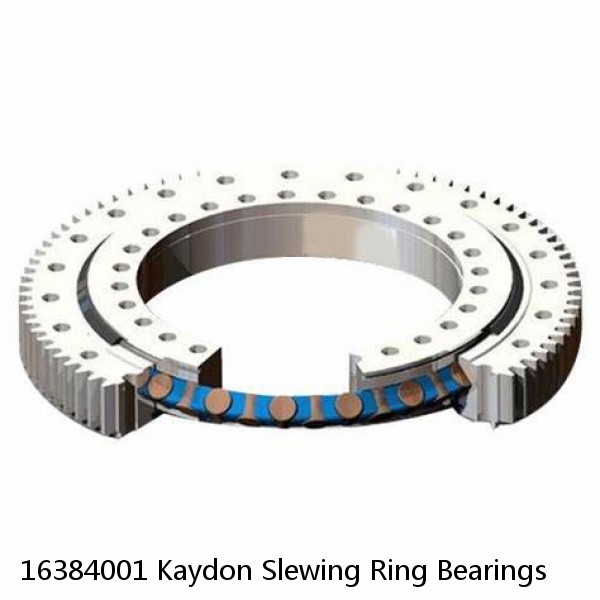 16384001 Kaydon Slewing Ring Bearings