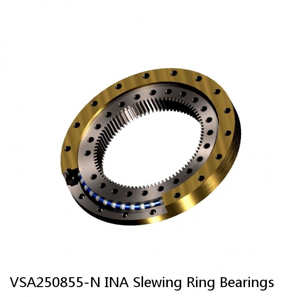 VSA250855-N INA Slewing Ring Bearings