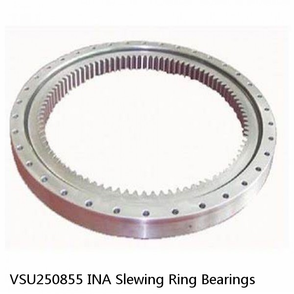 VSU250855 INA Slewing Ring Bearings