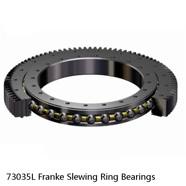 73035L Franke Slewing Ring Bearings