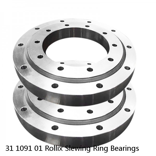 31 1091 01 Rollix Slewing Ring Bearings