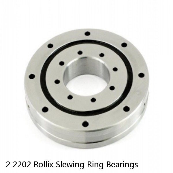 2 2202 Rollix Slewing Ring Bearings