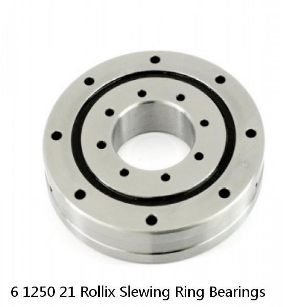 6 1250 21 Rollix Slewing Ring Bearings