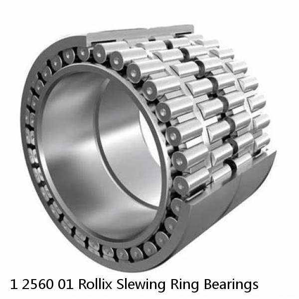 1 2560 01 Rollix Slewing Ring Bearings