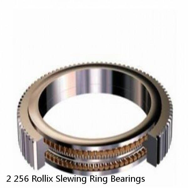 2 256 Rollix Slewing Ring Bearings