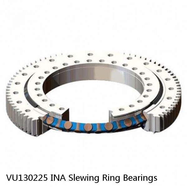 VU130225 INA Slewing Ring Bearings